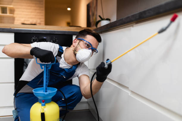 Best Exterminator Services  in Mccla, AL