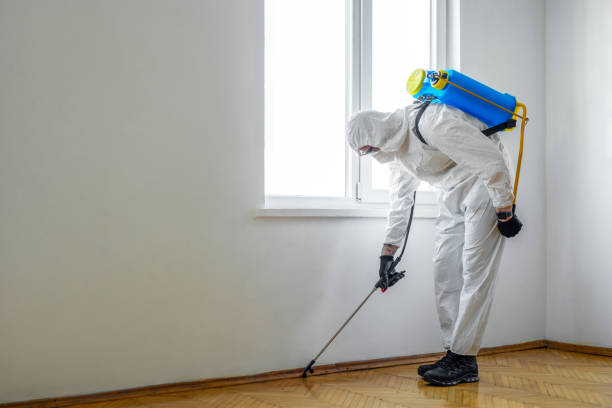 Trusted Mccalla, AL Pest Control Experts
